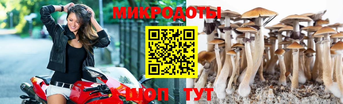 Галлюциногенные грибы мицелий Одинцово